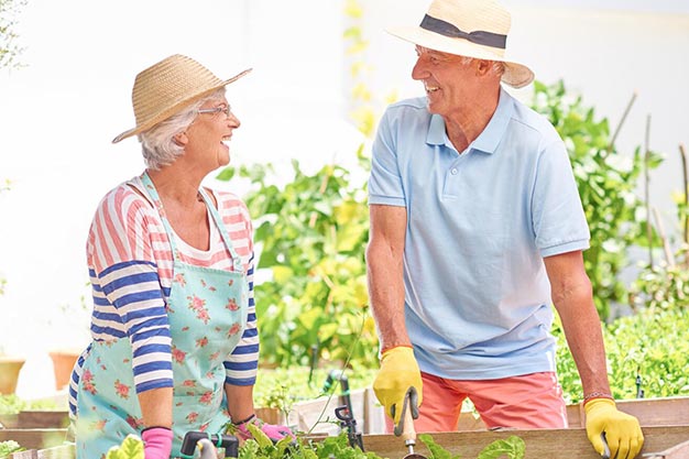 Tại sao collagen loại II là người bảo vệ sức khỏe khớp thiết yếu