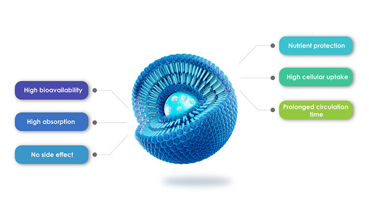 Ưu điểm của sản phẩm Liposome