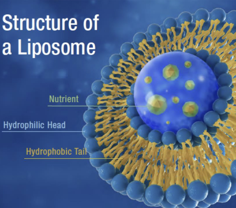 Cải thiện độ ổn định