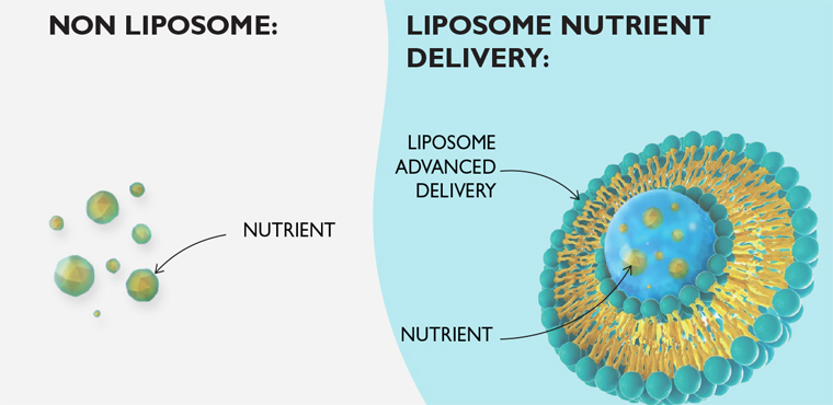 Công nghệ Liposome là gì?