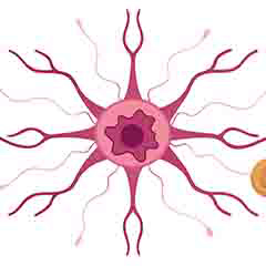 Sức khỏe hệ thần kinh