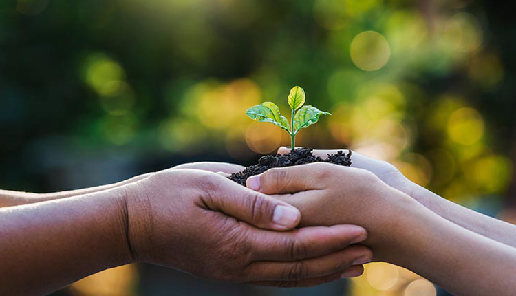 Về trách nhiệm xã hội dinh dưỡng Joyful