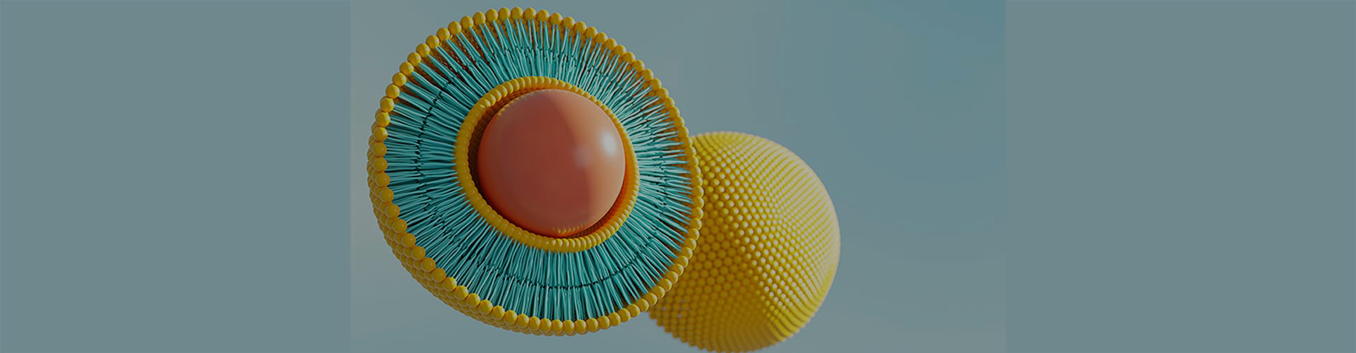 Câu hỏi thường gặp về liposomal