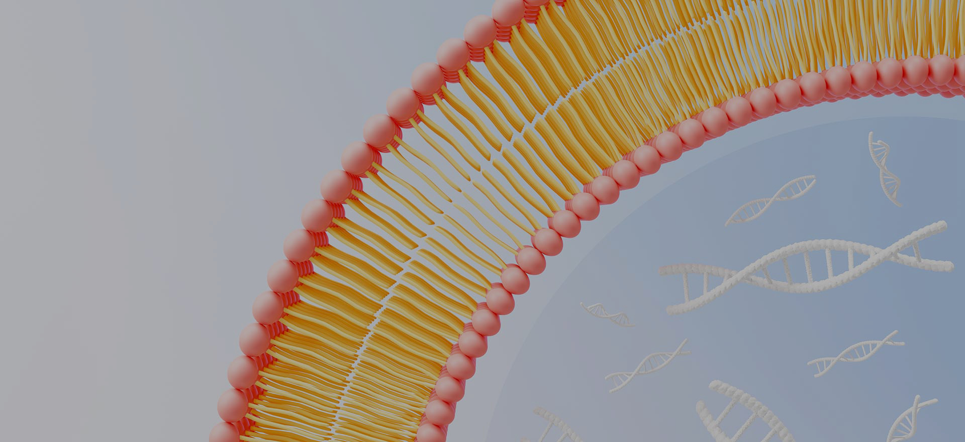 Tại sao chọn liposomore?