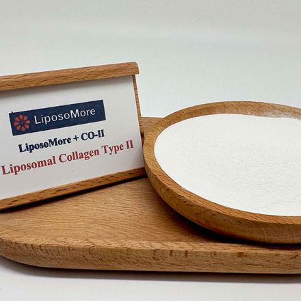 Liposome Collagen Type II