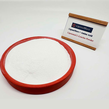 Liposomal l-leucine