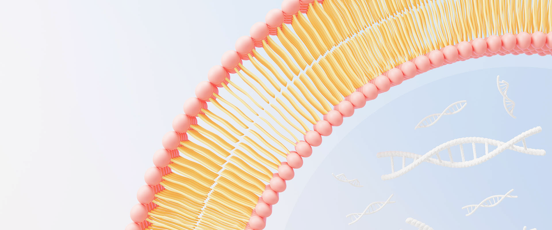 Vitamin Liposome là gì