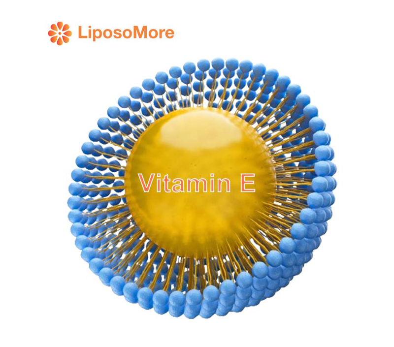 Khả dụng sinh học vượt trội thông qua Liposome