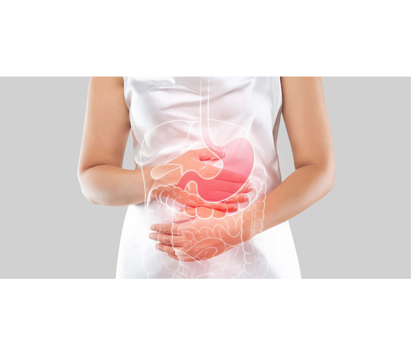 Nhẹ nhàng trên hệ tiêu hóa