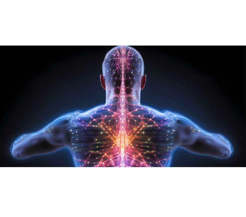 Tăng cường sức khỏe tế bào và hệ thần kinh