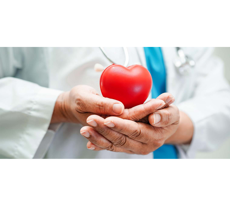 Hỗ trợ sức khỏe tim mạch