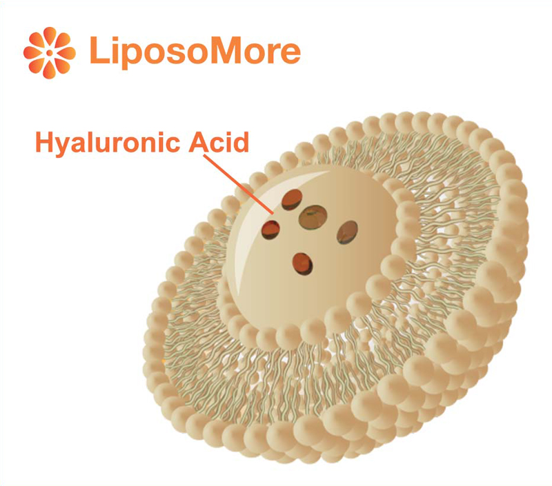 Tăng cường hấp thụ và khả dụng sinh học