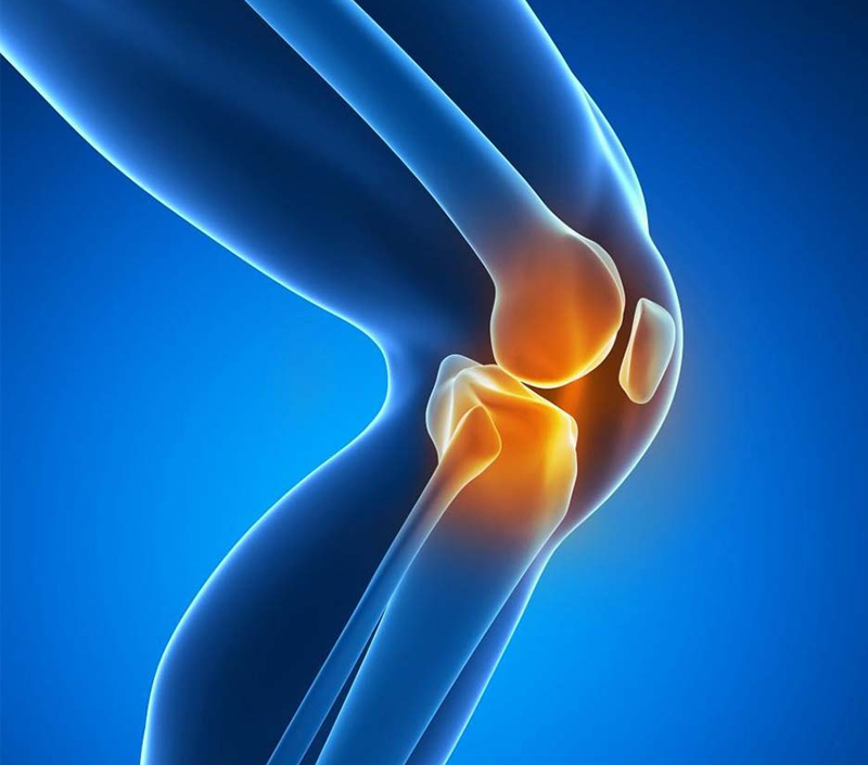 Bôi trơn khớp và tăng cường khả năng vận động