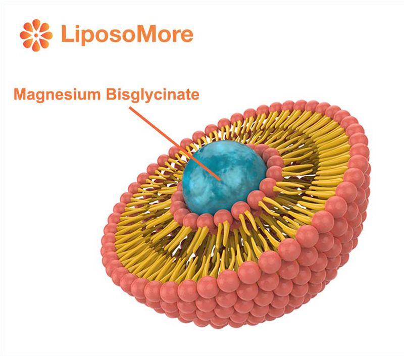 Tăng cường hấp thụ thông qua công nghệ Liposome