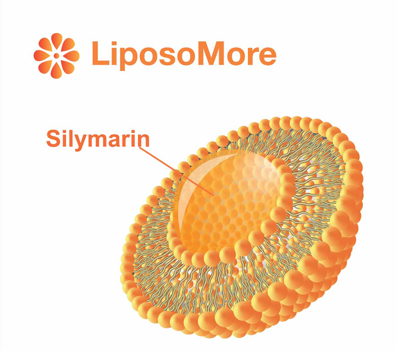 Tăng cường khả dụng sinh học và hấp thụ tế bào