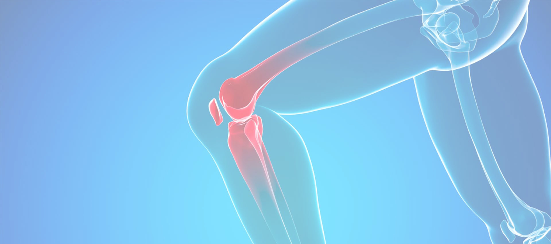 Liposome Collagen Type II
