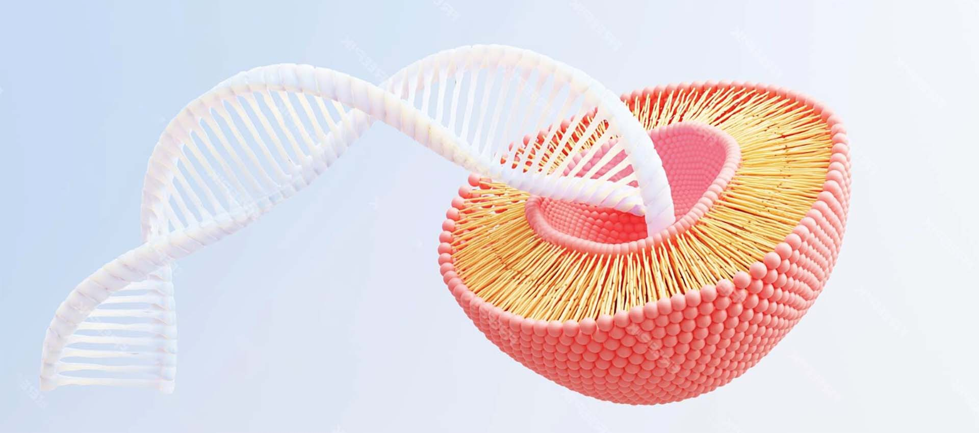 Liposome ferric pyrophosphate