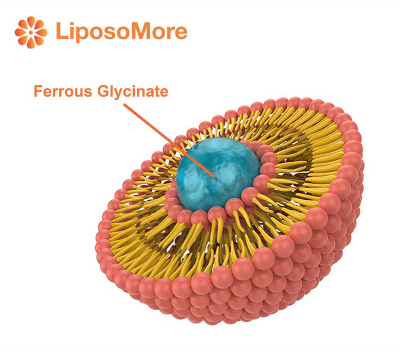 Cải thiện đáng kể khả dụng sinh học để bổ sung hiệu quả