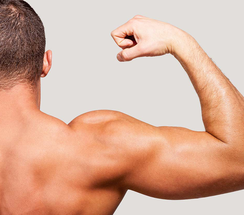 Hỗ trợ chức năng cơ bắp và phục hồi thể chất