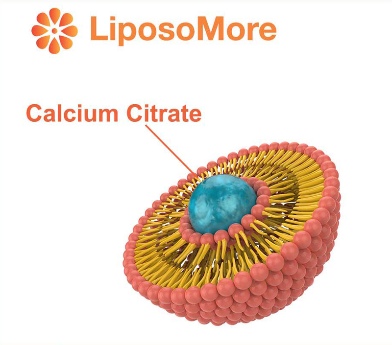 Khả dụng sinh học vượt trội thông qua giao hàng Liposome