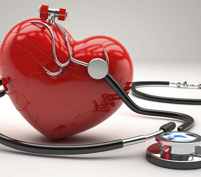 Hỗ trợ chức năng thần kinh cơ và tim mạch