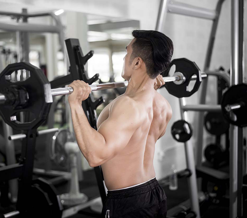 Hỗ trợ tăng trưởng cơ bắp và hoạt động đồng hóa