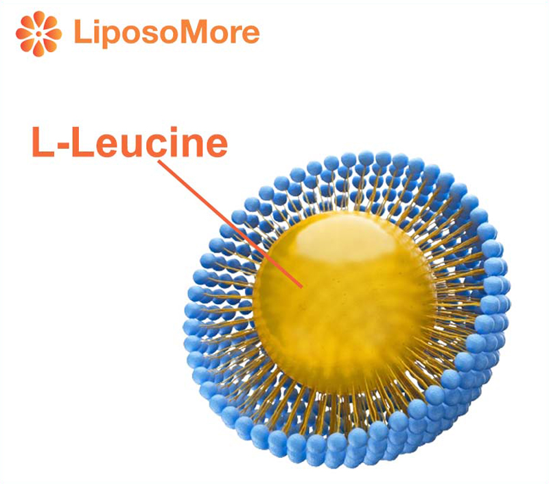 Phân phối Liposome giúp tăng cường khả dụng sinh học