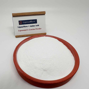 Liposomal l-leucine