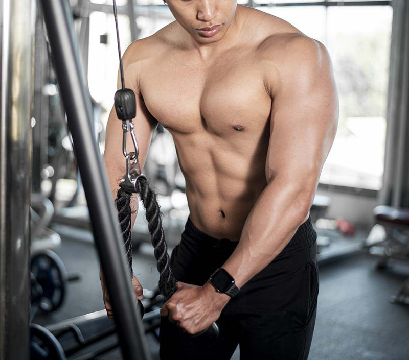 Hỗ trợ tăng trưởng và phục hồi cơ bắp