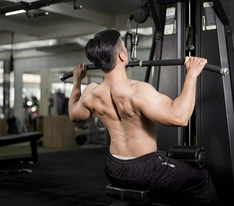 Hỗ trợ chức năng tế bào và cơ bắp