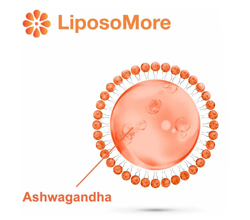 Tăng cường tâm trạng và cân bằng cảm xúc