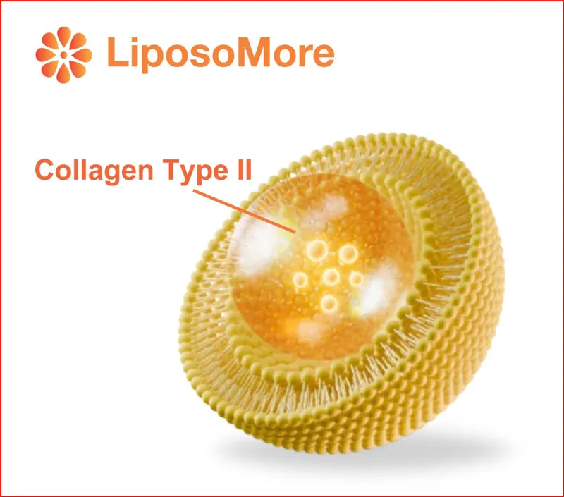 Tăng cường khả dụng sinh học thông qua phân phối Liposome