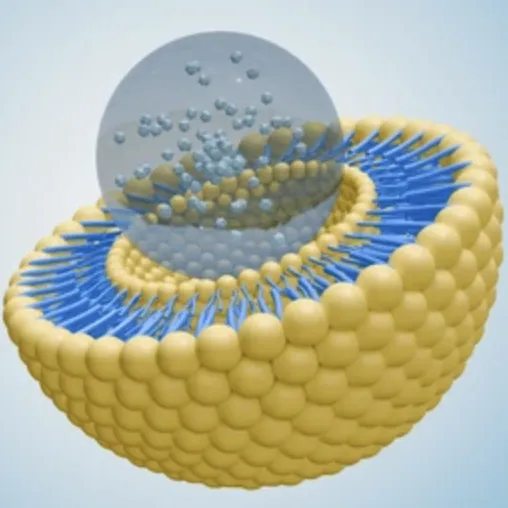 Công nghệ đóng gói vi mô VS Liposome: loại nào tốt hơn cho việc bổ sung chế độ ăn uống?